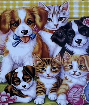 Hundvalpar och Kattungar, Noessa, Diamond Painting