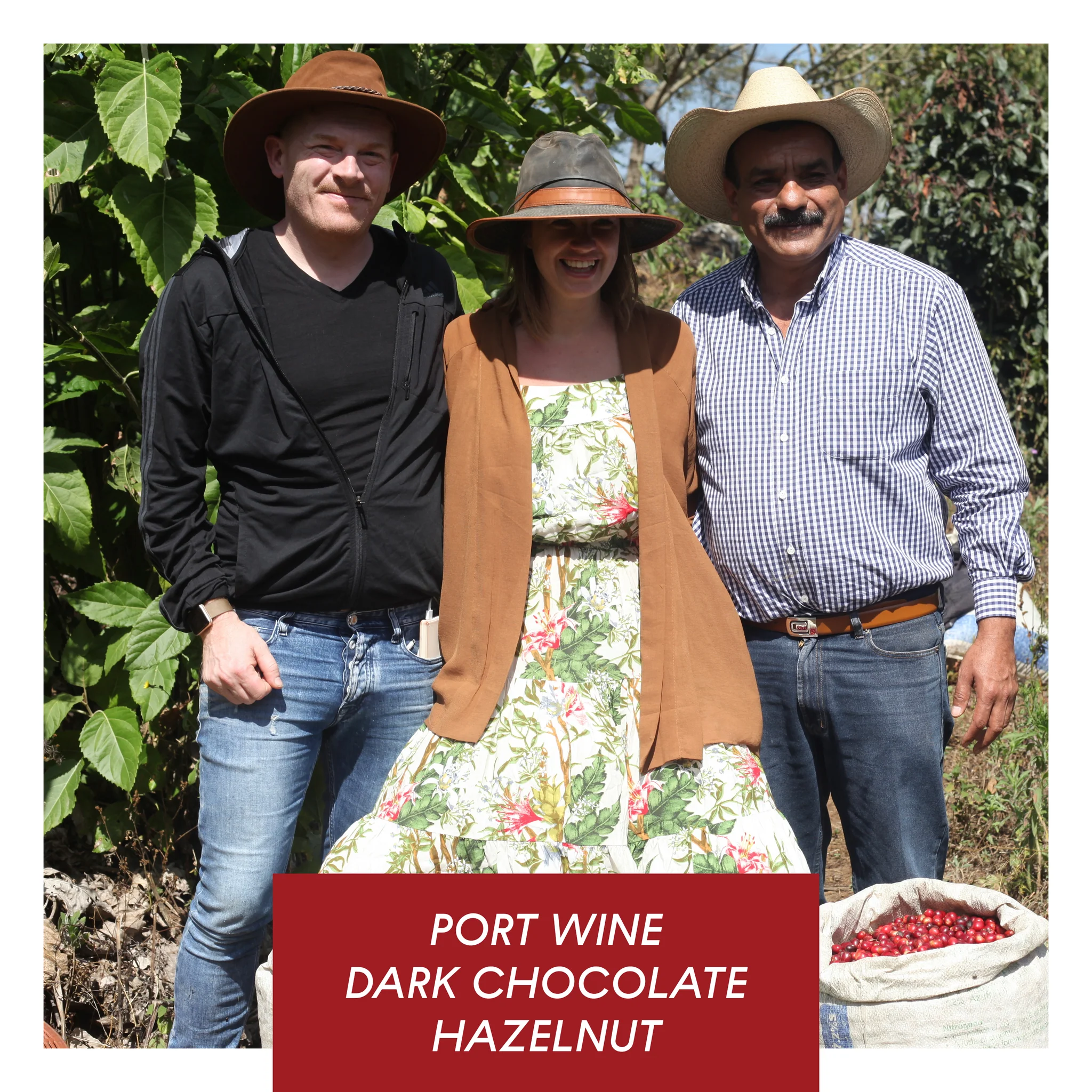 Drop Coffee - Los Altares - Anaerobic Natural Caturra - Guatemala - Ljusrostade hela kaffebönor - 250g - 2