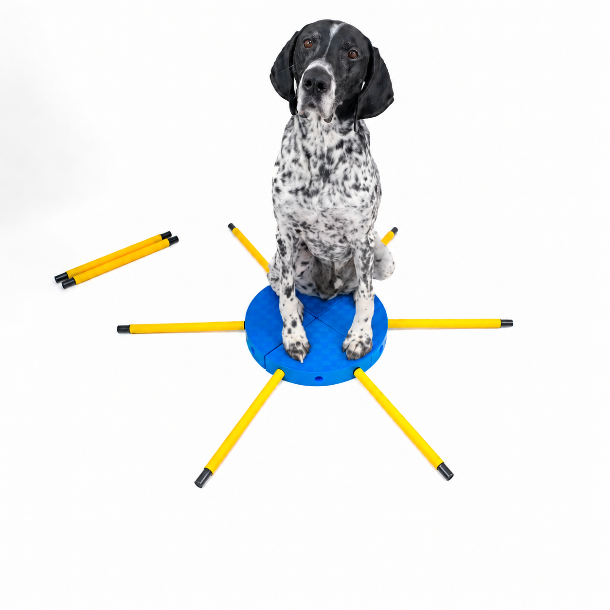 FitPAWS –  FitKinect  360 - 2