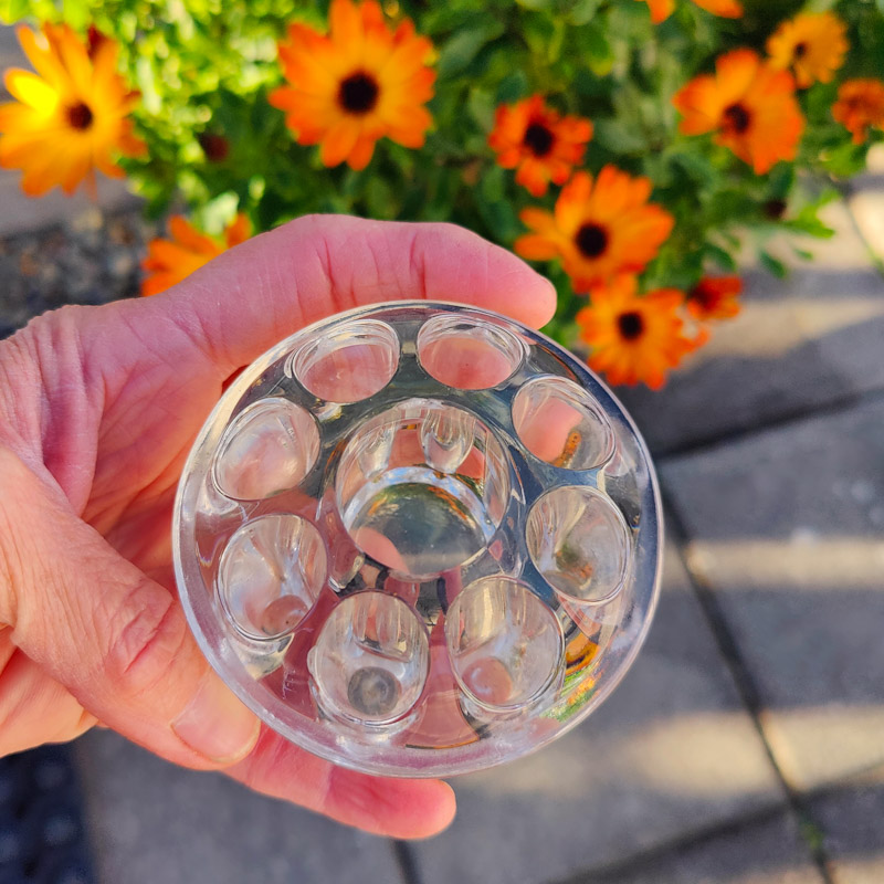 Blomsterfakir i glas  - 2