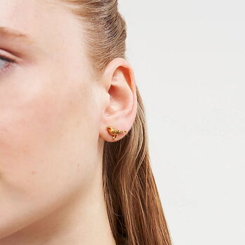 Fable Robin studs