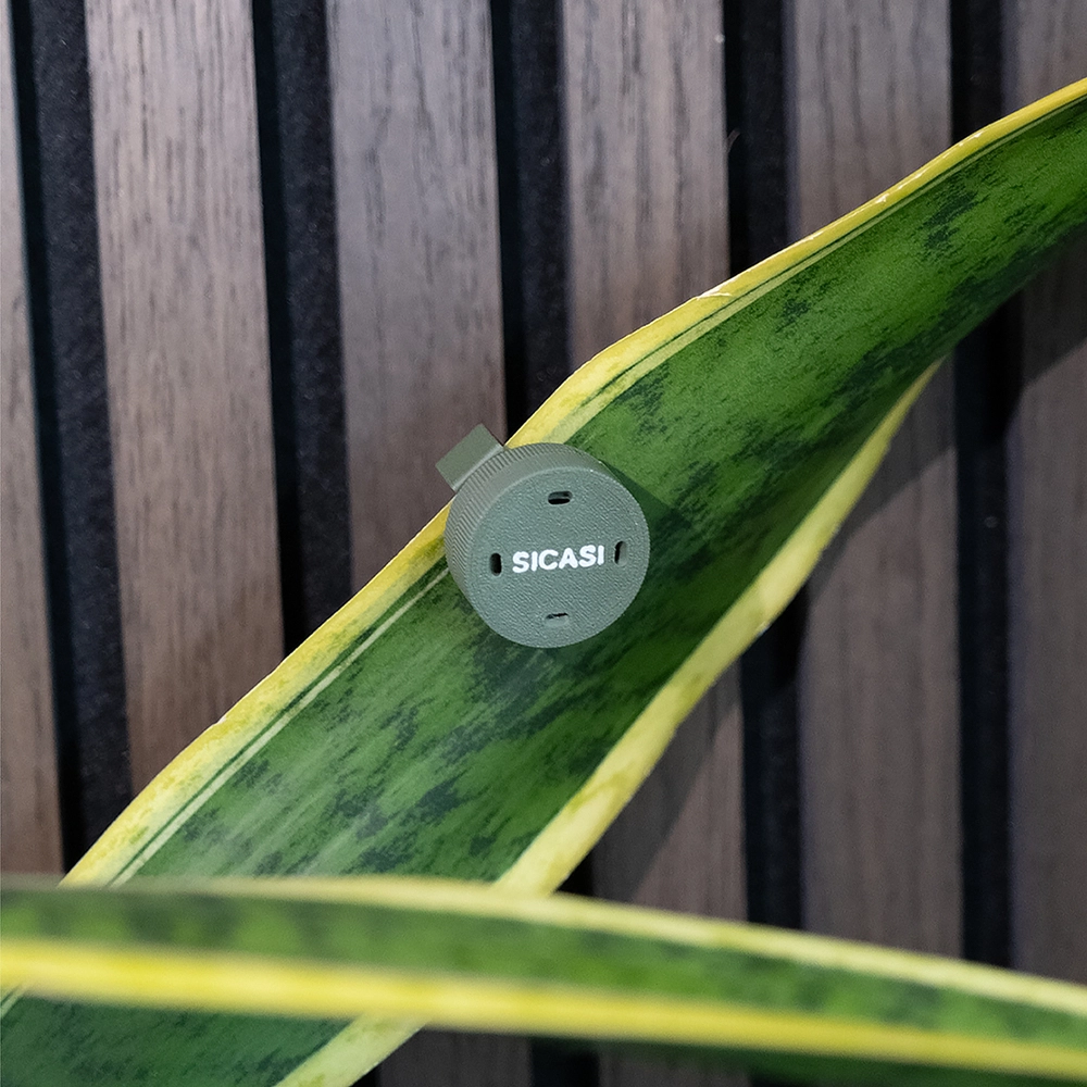 Scent holder with a clip for attaching to, for example, a large leaf