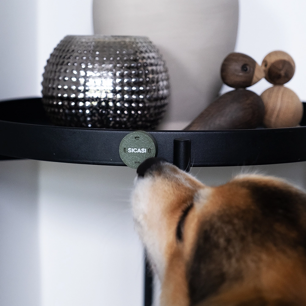 Nosework container - three-in-one - 7