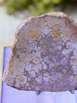 Fosfosiderit-Purple dessert -Argentina