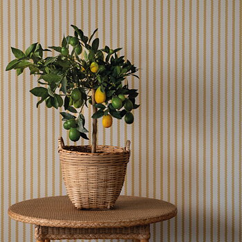 TAPET STICHTED STRIPE, Soleil