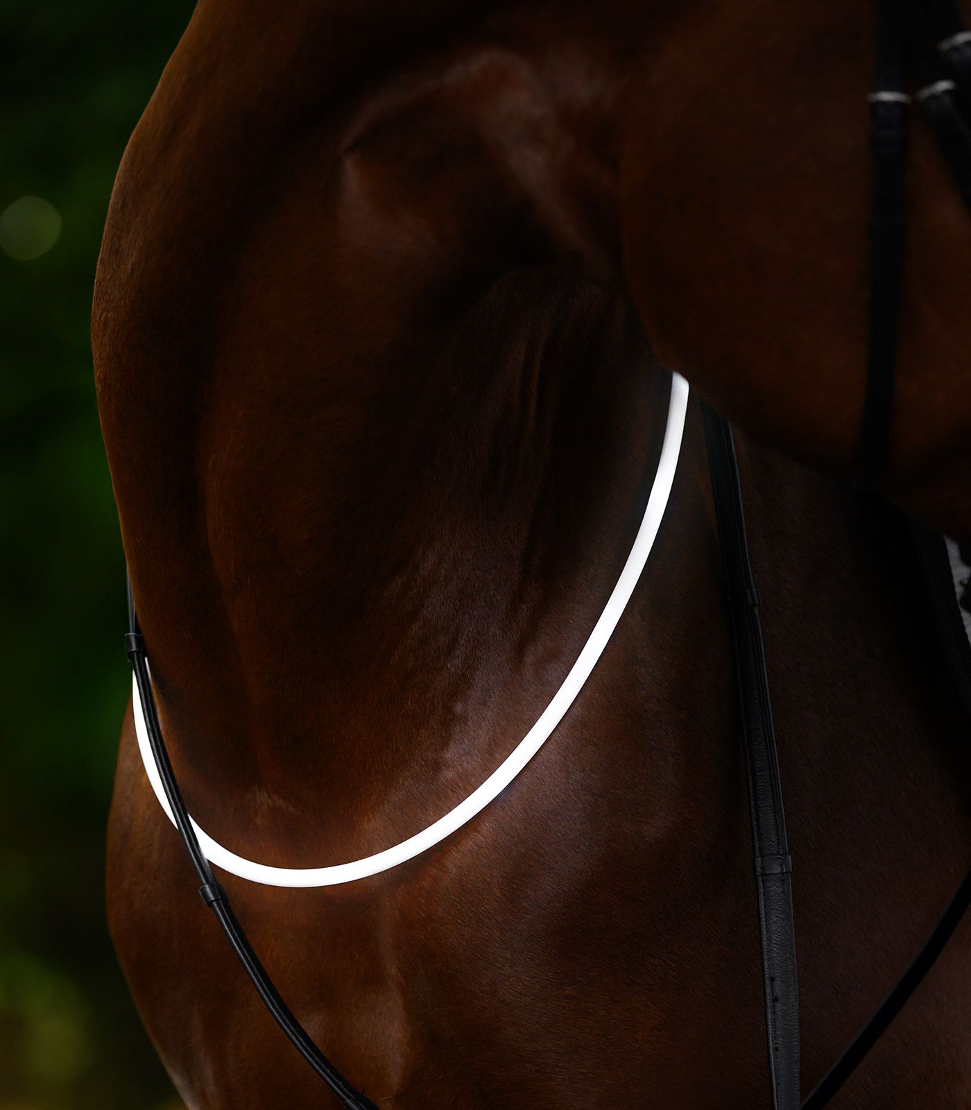 Halsring med LED-belysning: syns i mörkret! - 2