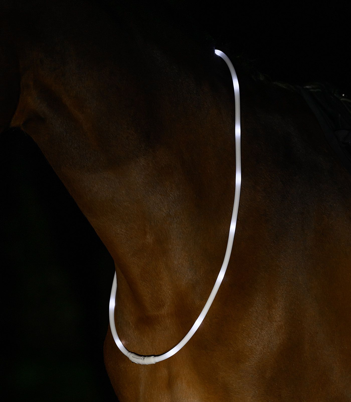 Halsring med LED-belysning: syns i mörkret! - 7