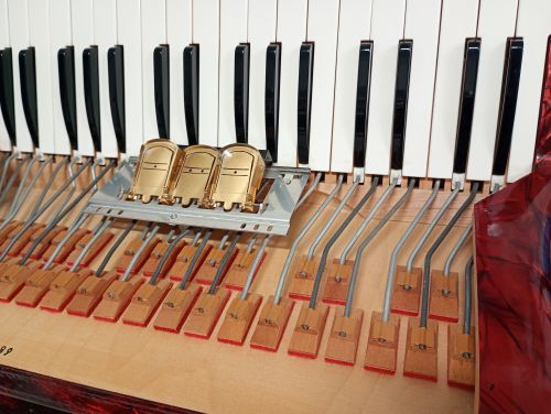 Hohner - Concerto II / 72 (Used) - 11