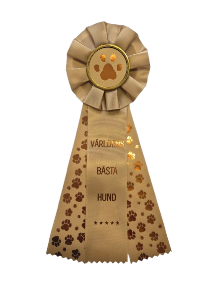 Världens bästa hund - BEIGEGULD med tassband i brons