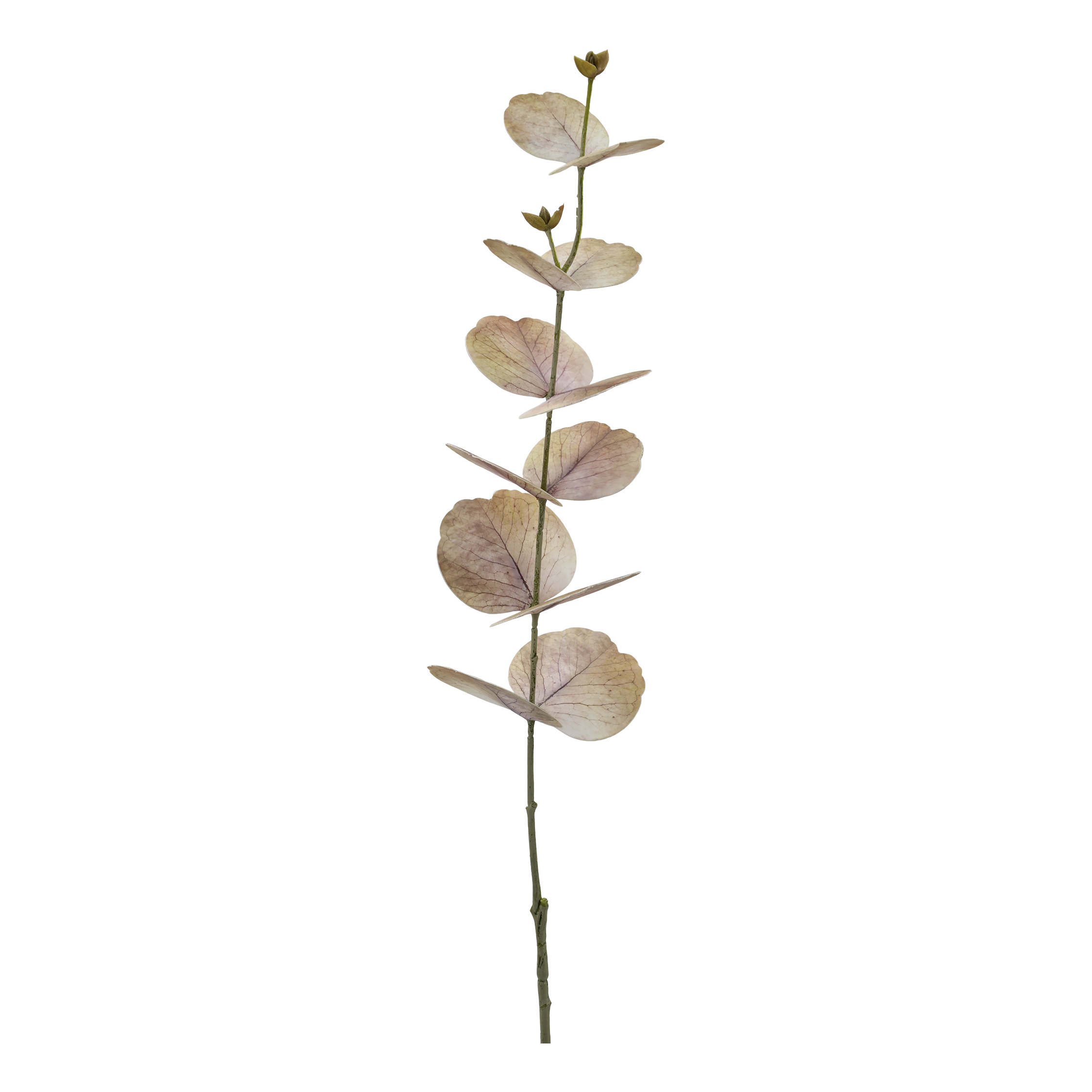 Fleur Eucalyptus - Dusty Rose - 2