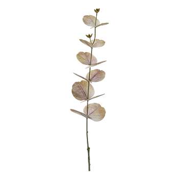 Fleur Eucalyptus - Dusty Rose
