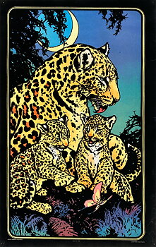 LEOPARD AND CUBS