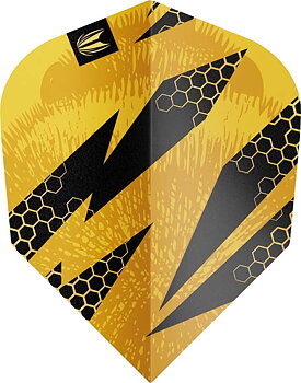 Target Pro Ultra Buzz x 3 Sets Shape NO6