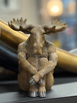 Moose 