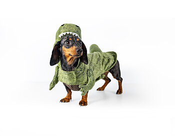 Dogman Maskeradkostym Dino