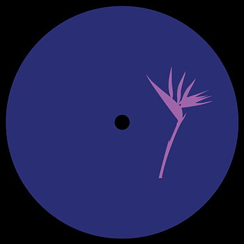Suolo - Cometa EP 