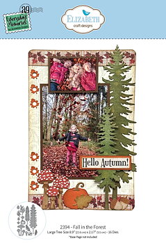 Elizabeth - Dies - Fall in the Forest