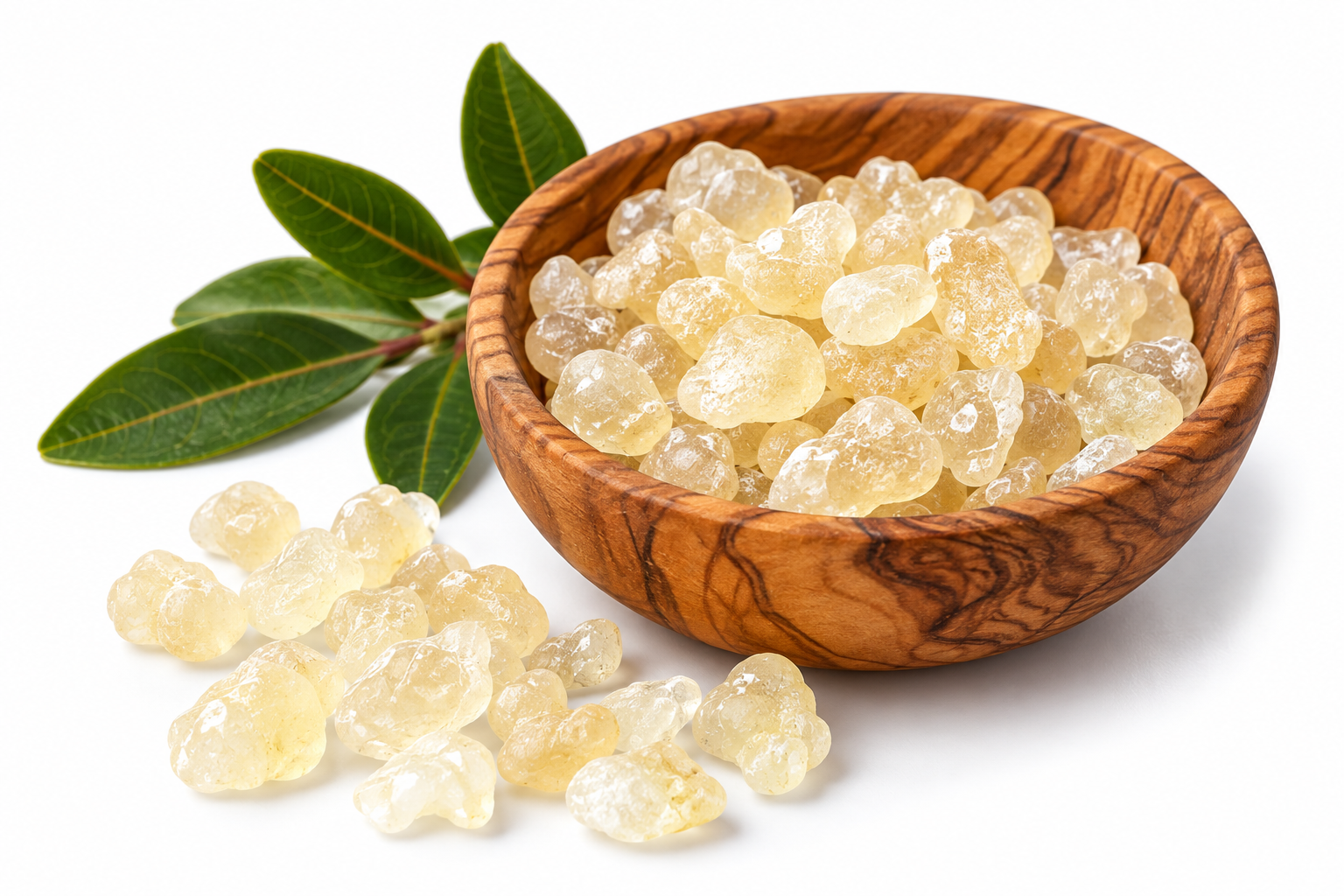 Chios Mastiha Medium Tears P.D.O. – 20 g - 3