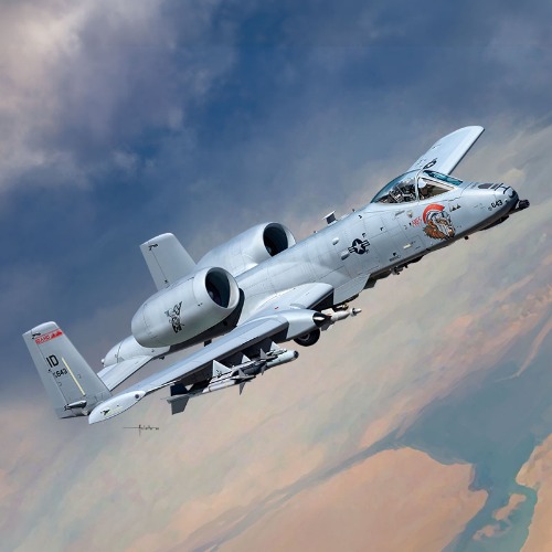 1/48 A-10C Nose Art