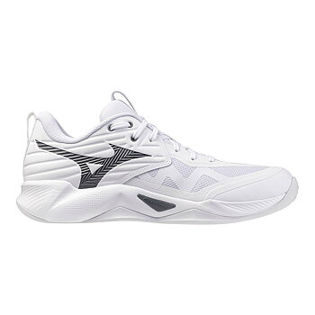 Mizuno Wave Momentum Pro U Inomhusskor