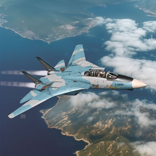 1/72 F-14A IRIAF