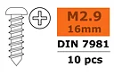 G-Force GF-0175-004 Self-Tapping Pan Head Screw - 2.9 x 16 mm - Galvanized Steel - 10 pcs