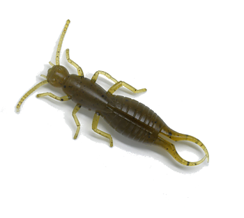 MAX4 Earwig 2.8" 3-pack