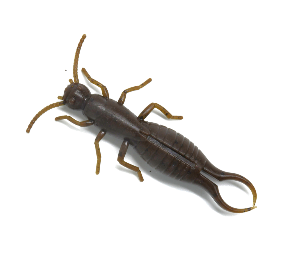 MAX4 Earwig 2.8" 3-pack - 2