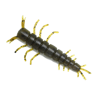 MAX4 Moonbug 2.4" 4-pack