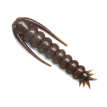 MAX4 Larry 2.8" 4-pack
