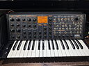 Used Korg MS-20