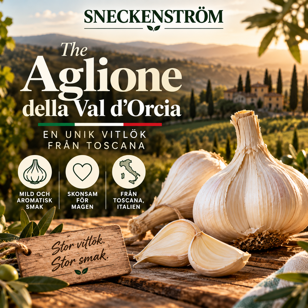 Aglione della Val d'Orcia - Unik vitlök ifrån Toscana