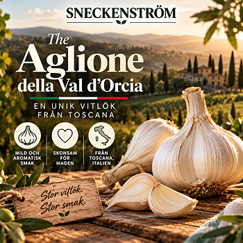 Aglione della Val d'Orcia - Unik vitlök ifrån Toscana