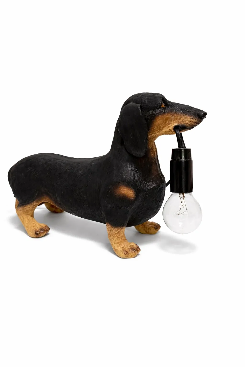 Lampa - Dachshund Noir
