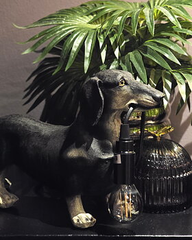 Lampa - Dachshund Noir