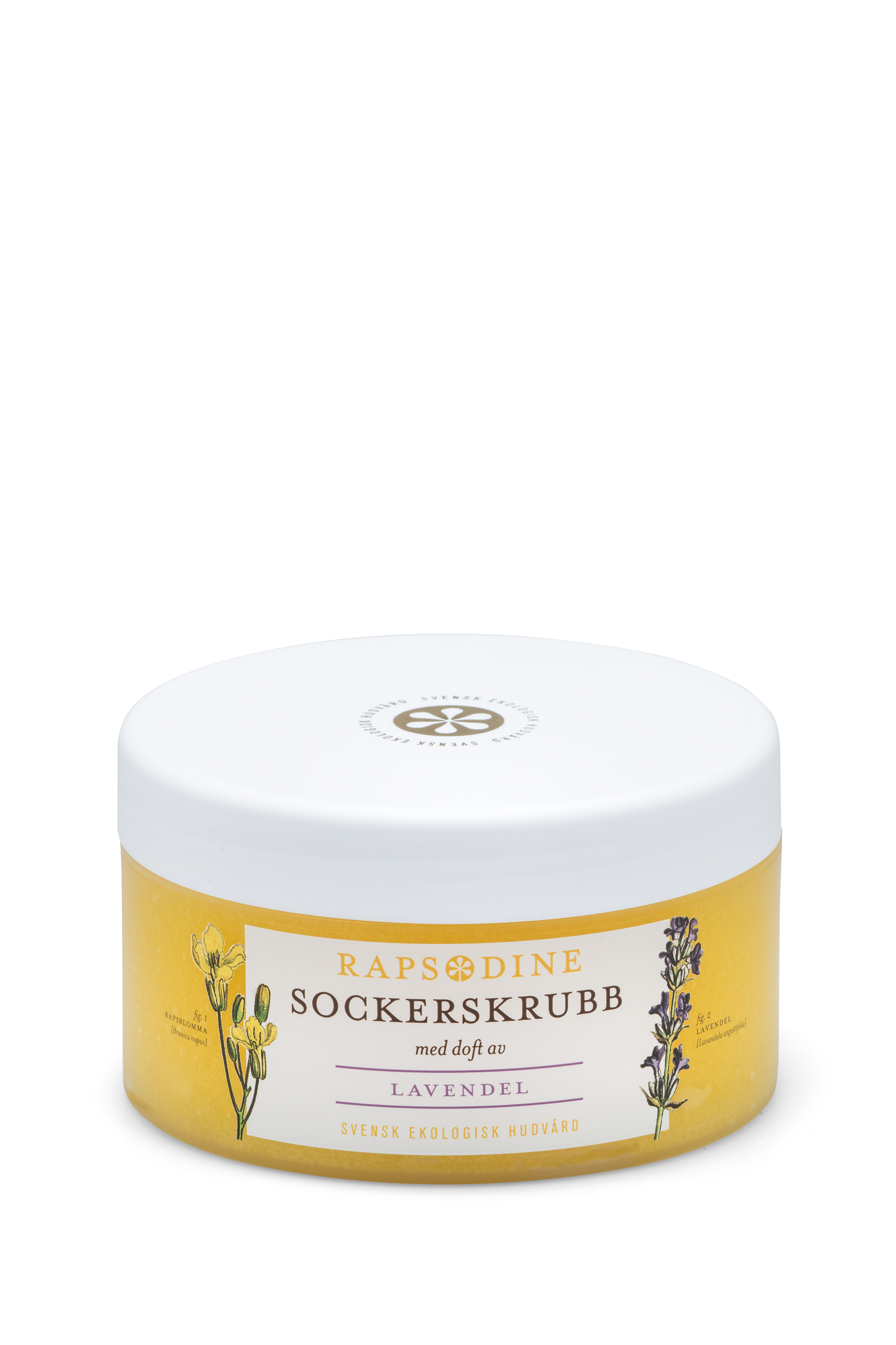 Sockerskrubb  Rapsodine - 2