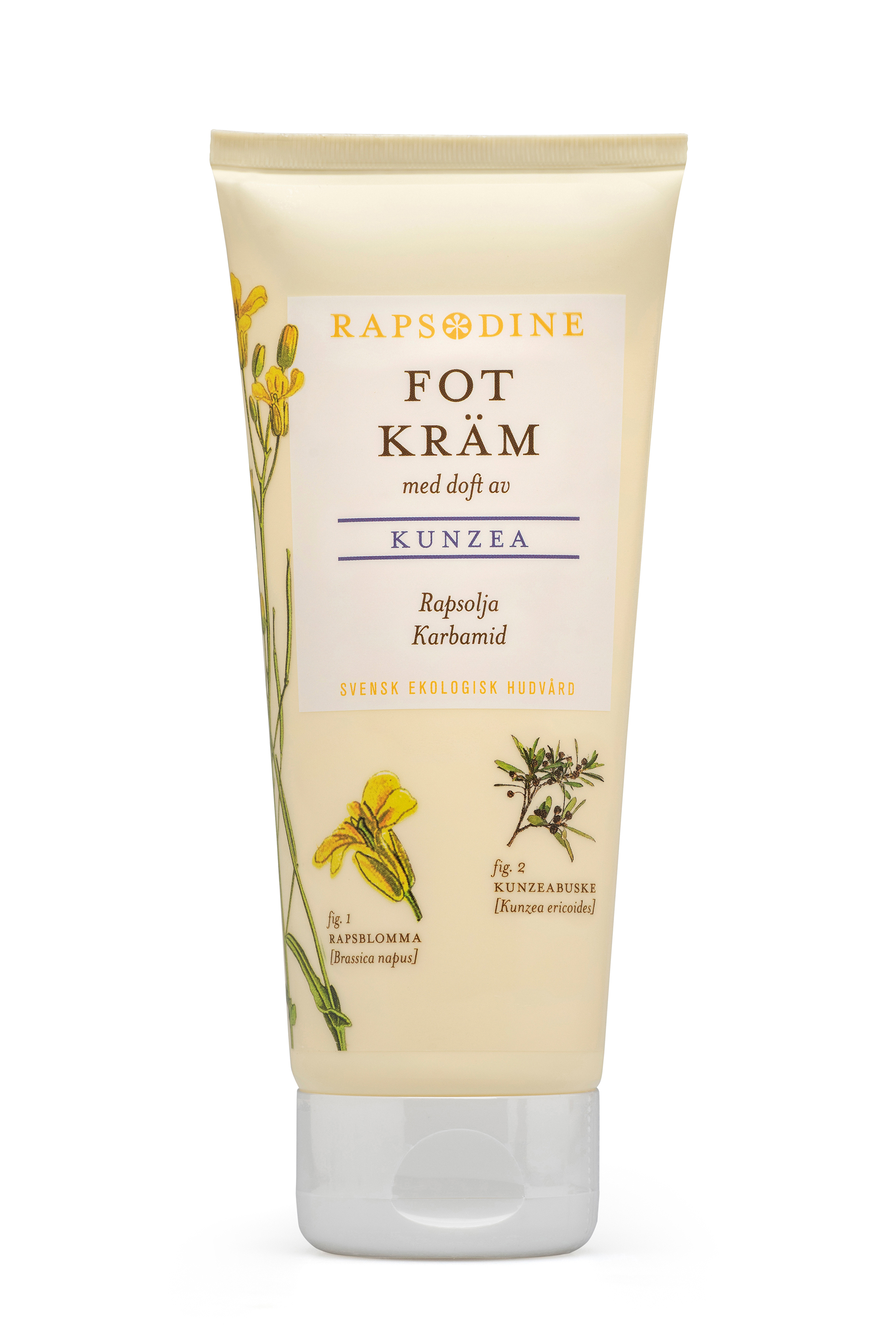 Fotkräm  Rapsodine - 3