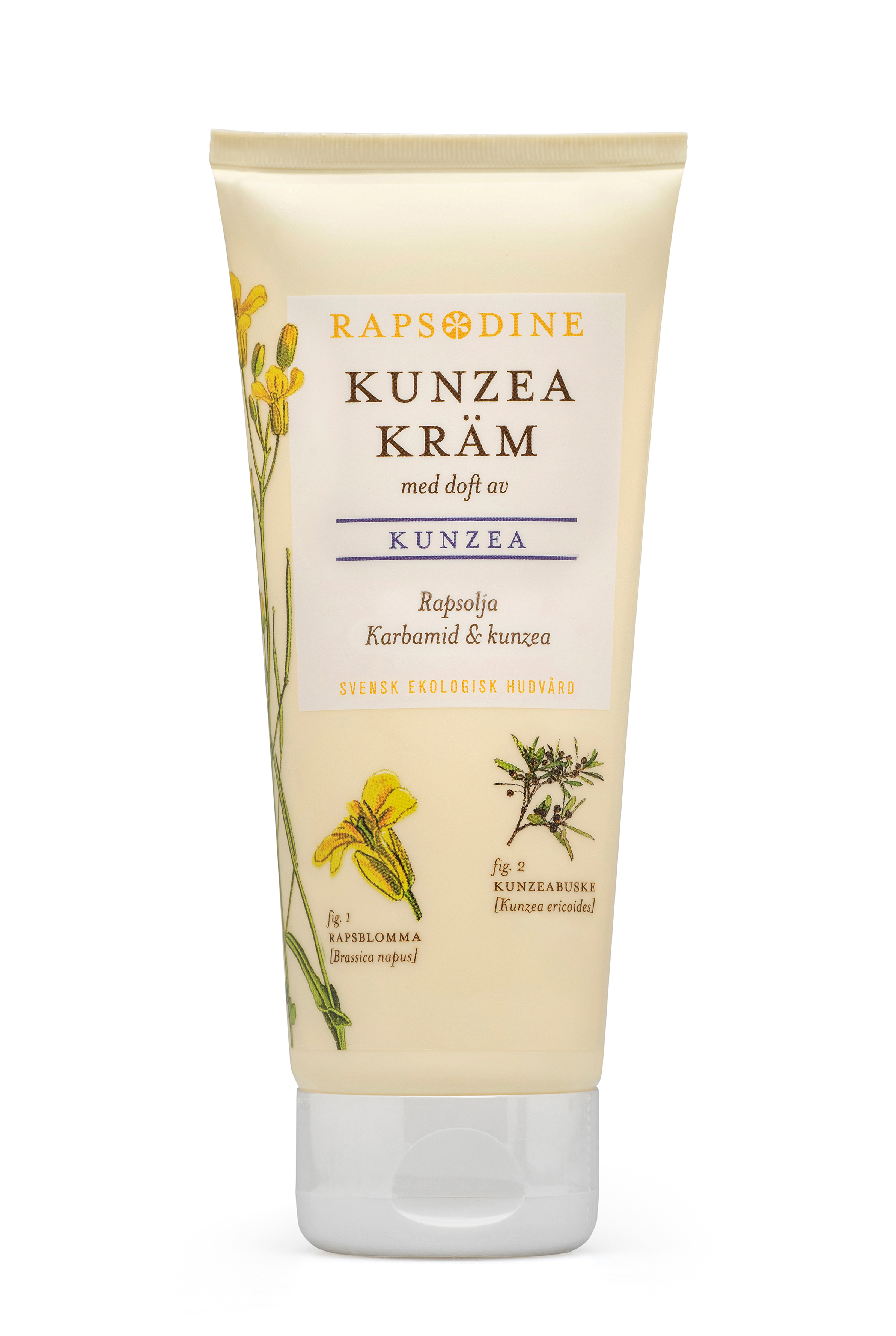 Kunzeakräm  Rapsodine - 3