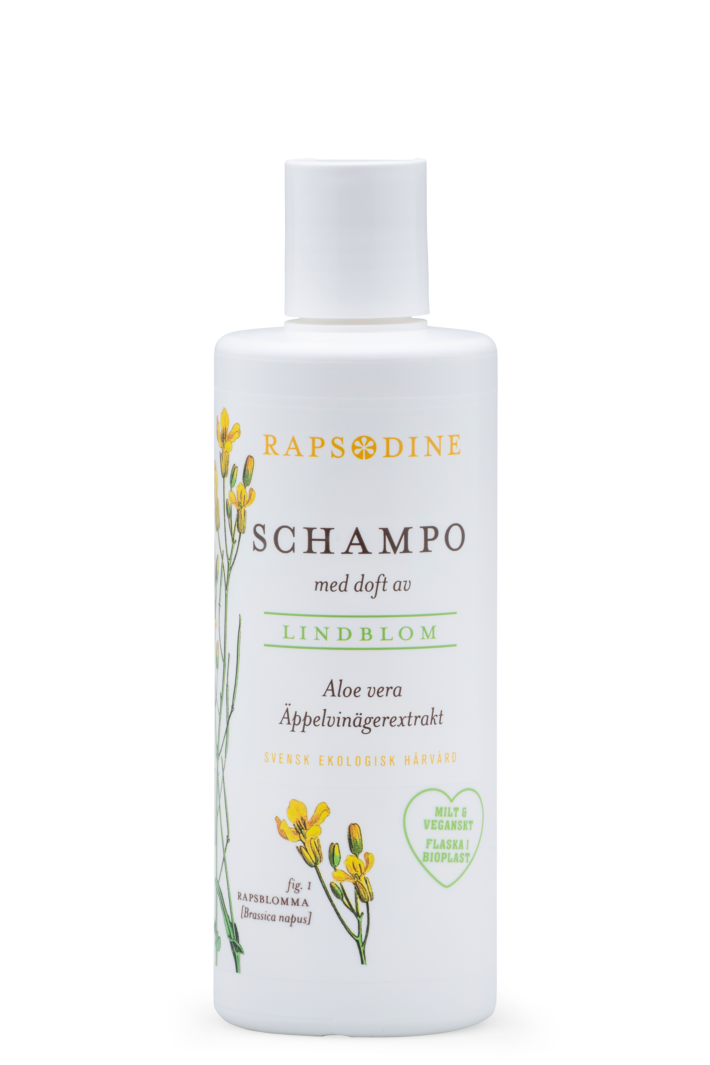 Schampo äppelcidervinägerextrakt Rapsodine