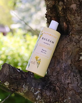 Balsam Rapsodine