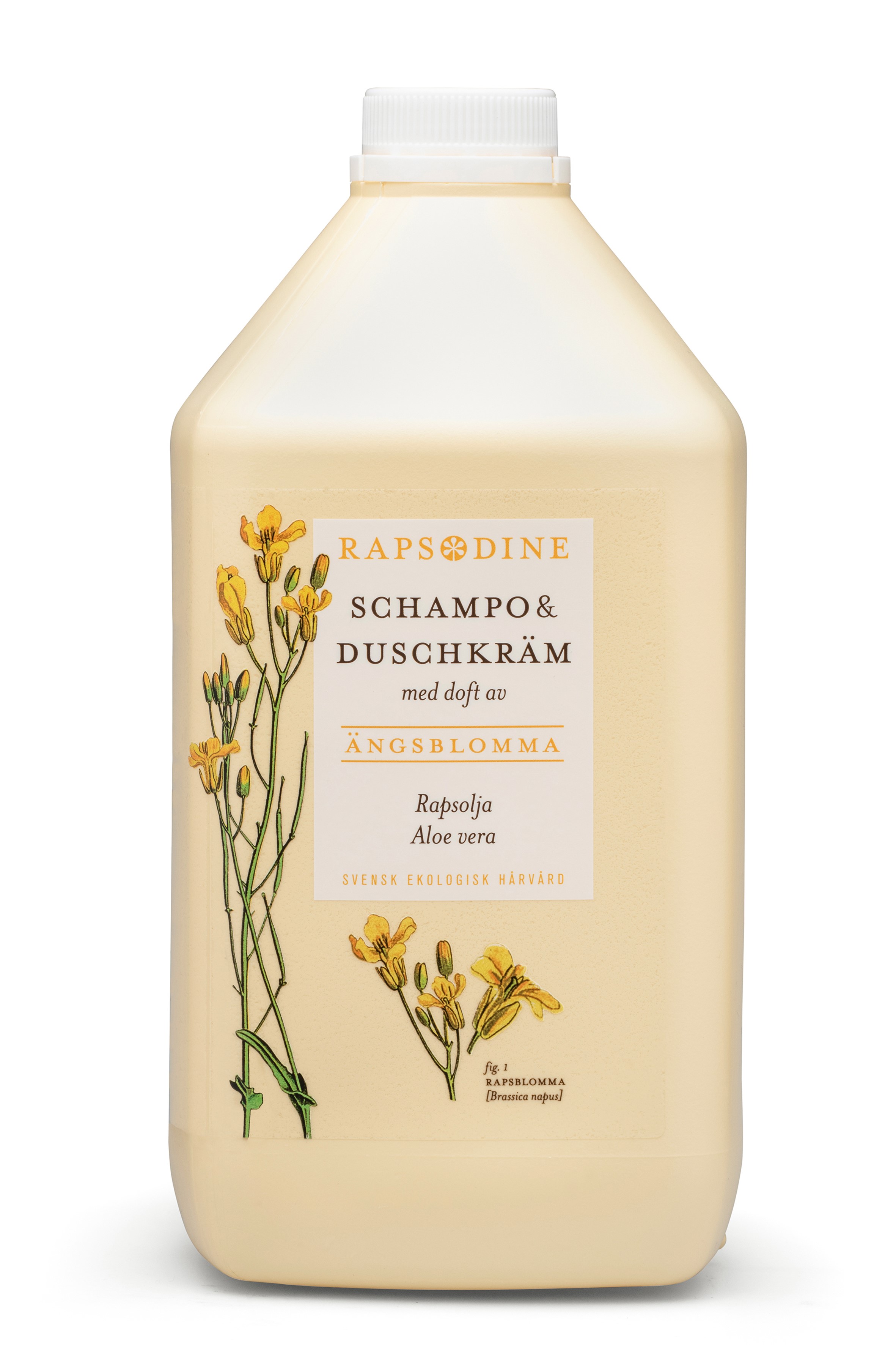 Schampo & Duschkräm  Rapsodine - 4