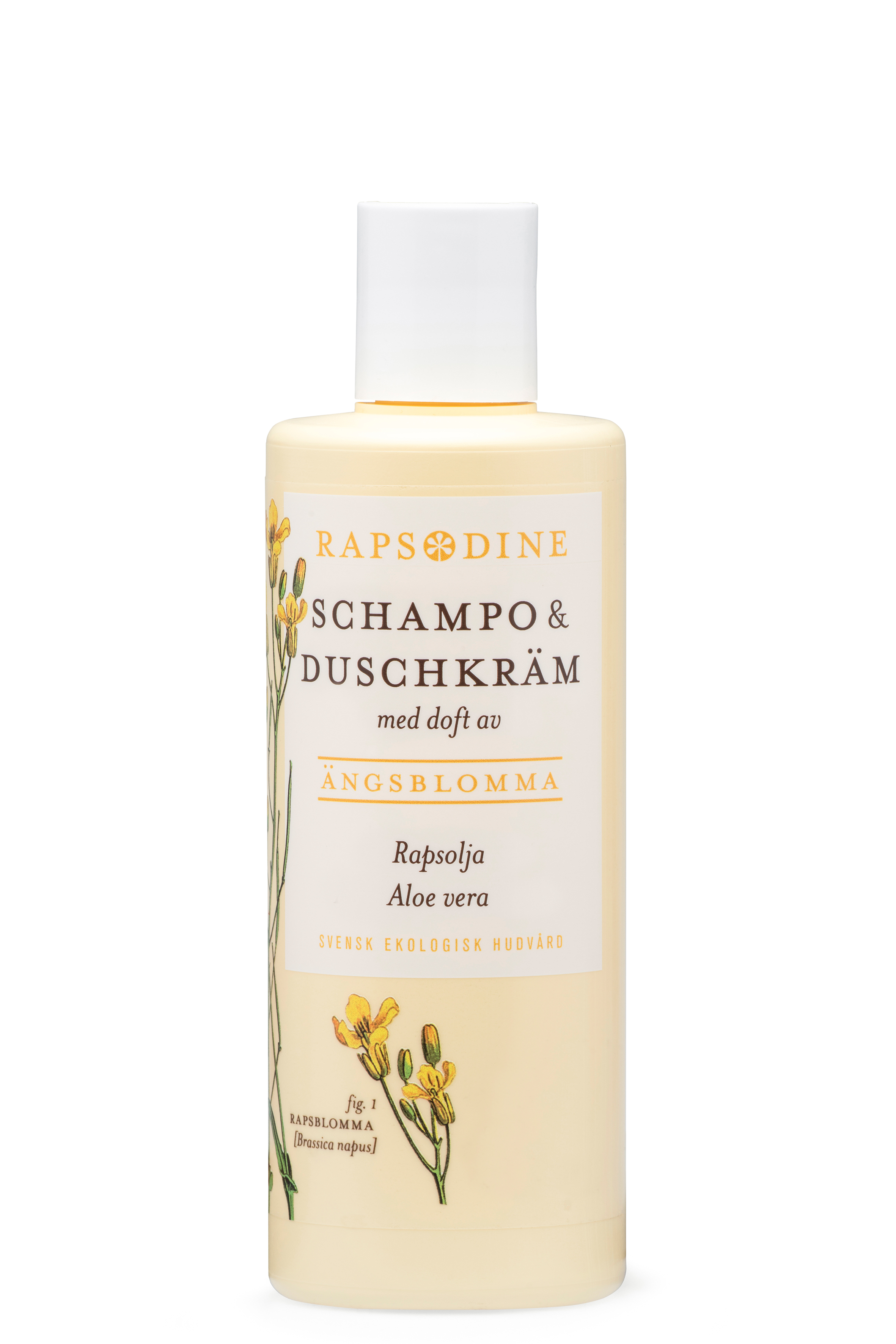 Schampo & Duschkräm  Rapsodine