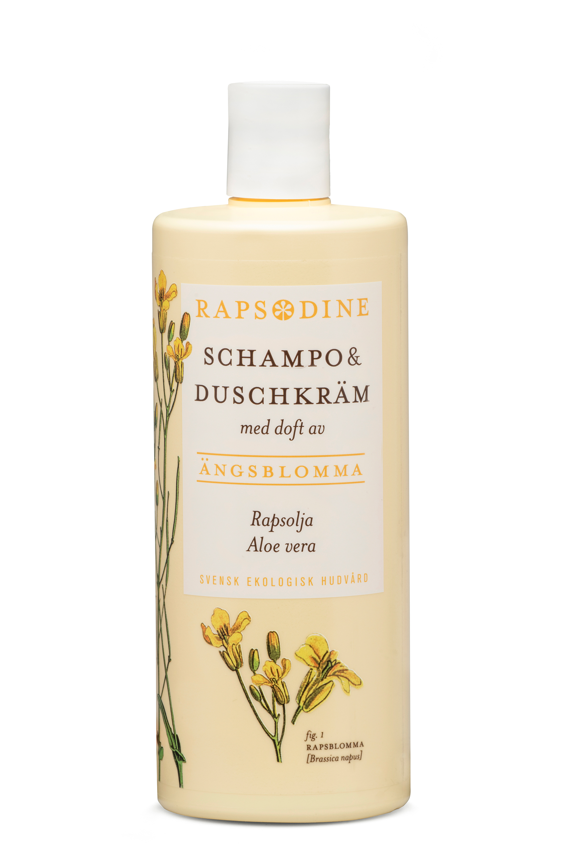 Schampo & Duschkräm  Rapsodine - 3