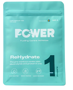 Power ReHydrate 500g
