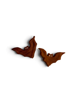 Fladdermus hundgodis