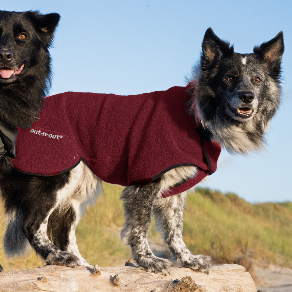 Warmwool hundtäcke (75% ull) Burgundy