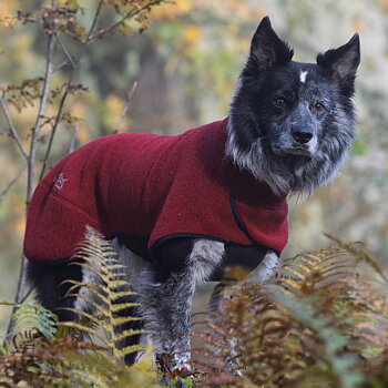 Warmwool Dog Blanket (75% Wool) Burgundy