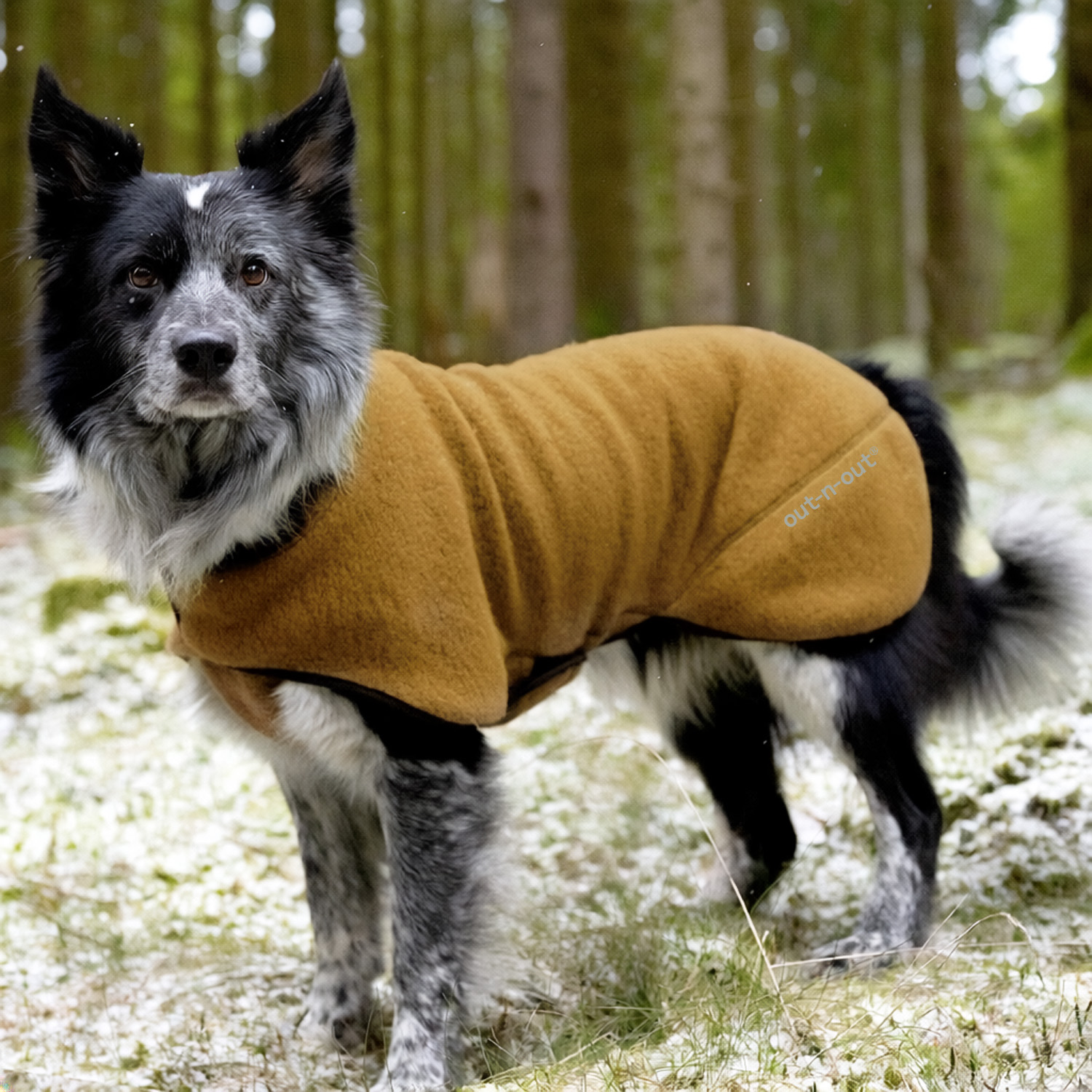 Warmwool hundtäcke (75% ull) Camel