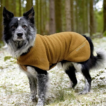 Warmwool Dog Blanket (75% Wool) (Yellow ocra)