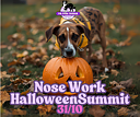 Nose work HalloweenSummit Träningstävling 31/10